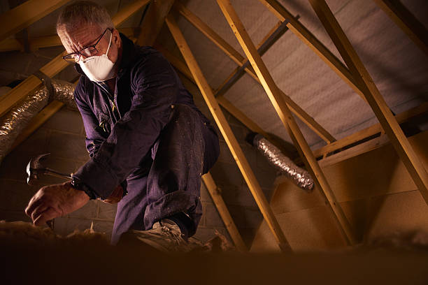 Best Specialty Insulation in Versailles, IN